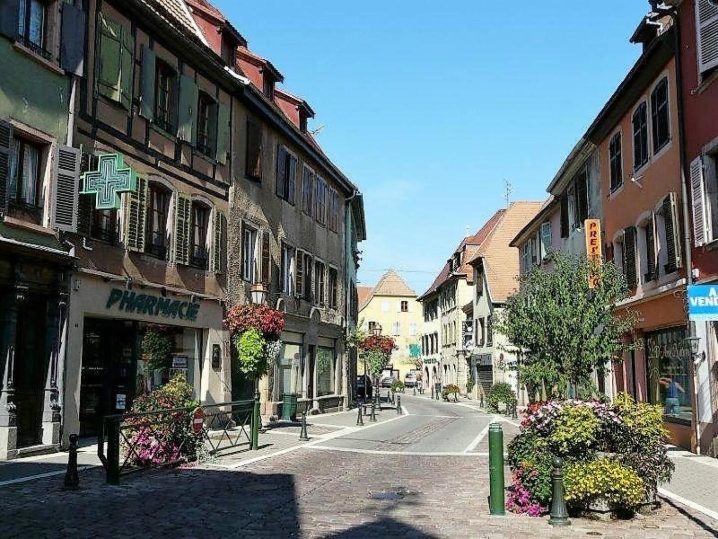 Studio L'Epicea Climatisation Sejour Parfait Soultz-Haut-Rhin Luaran gambar